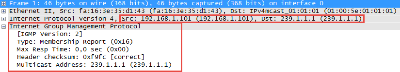 multicast-igmp-version-2-membership-report.png
