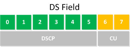 qos-ds-field.png